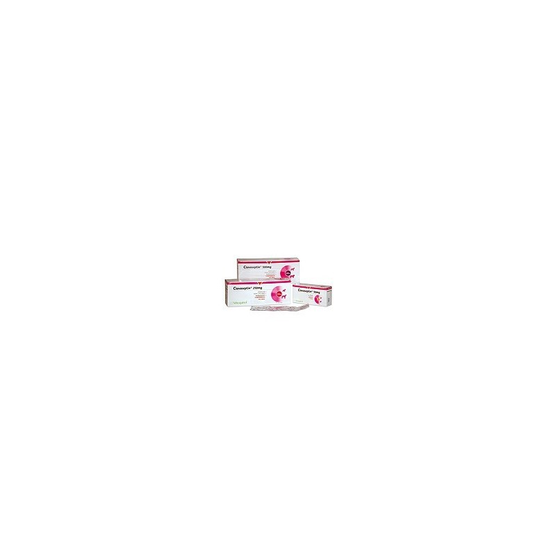 CLAVASEPTIN 50MG