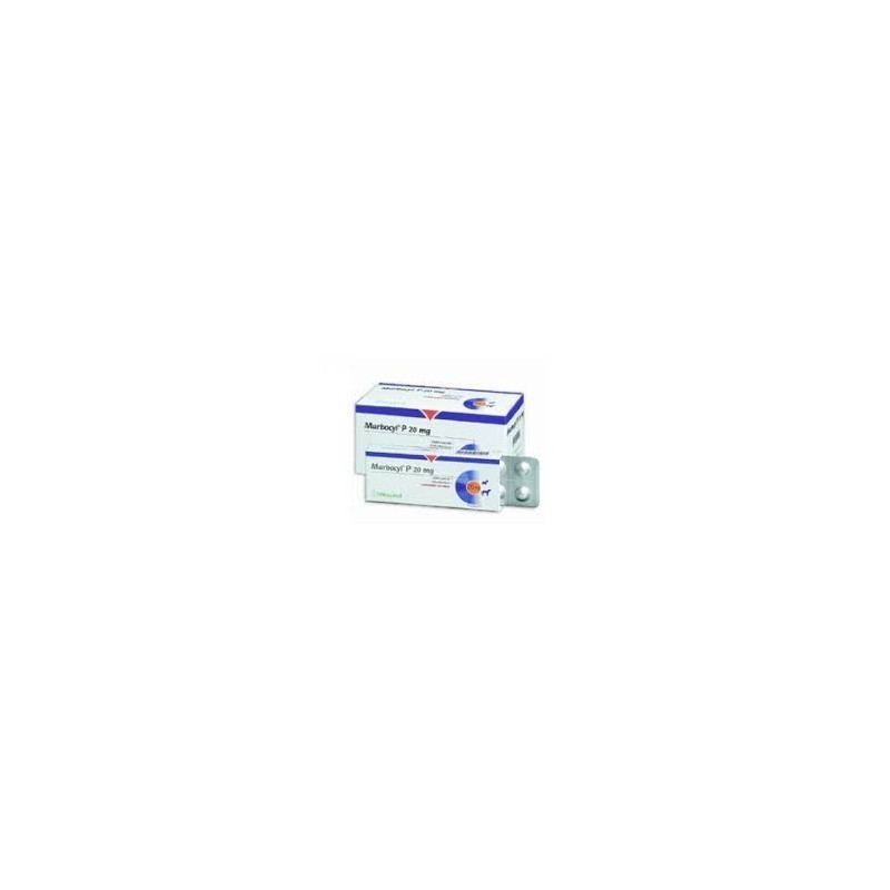 MARBOCYL P 20 mg CLÍNICO