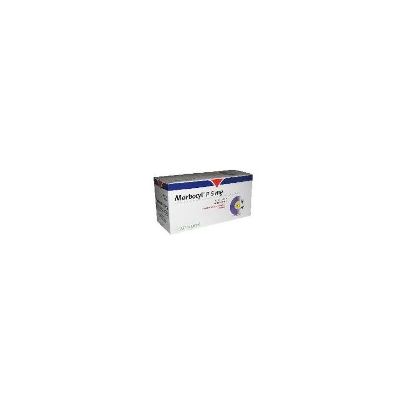 MARBOCYL P 5 mg CLÍNICO