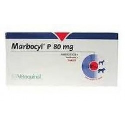 MARBOCYL P 80 mg CLÍNICO