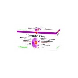 CLAVASEPTIN 62,5MG