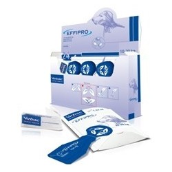 EFFIPRO SPOT ON 1-10KG 4P