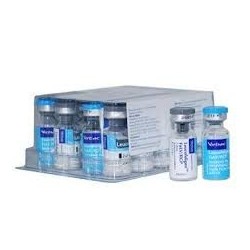 LEUCOFELIGEN FELV/RCP 1 D