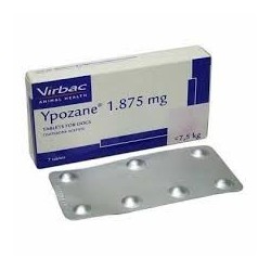 YPOZANE 1,875 MG