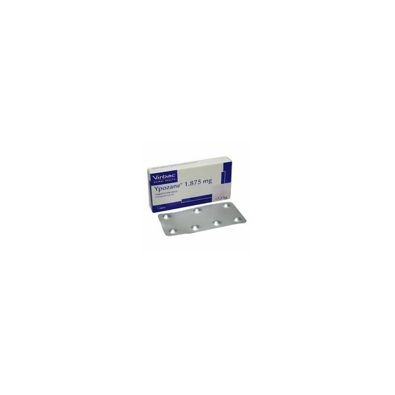 YPOZANE 1,875 MG